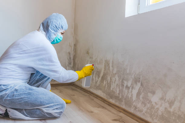 Hvac And Air Duct Mold Remediation inspection of HVAC system in Great Neck